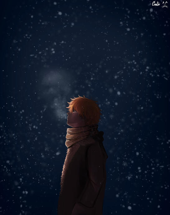 Winter night