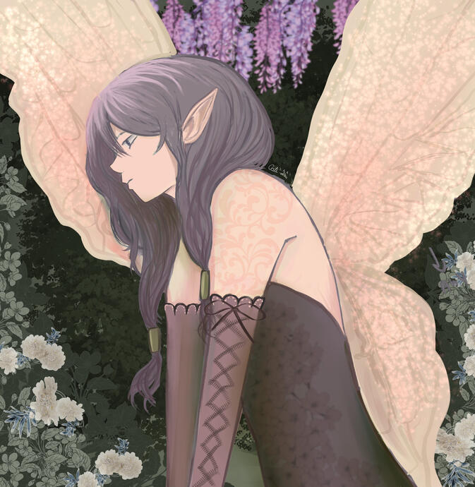 Confused fairy